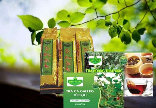 Trà Hoàng Thảo Mộc