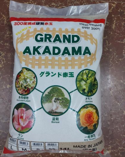 Đất Akadama trồng sen đá, xương rồng , gói 500g