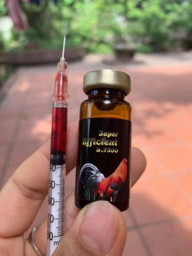 B12-B7500 Nuôi tăng bo khủng cho Gà đá (10cc)