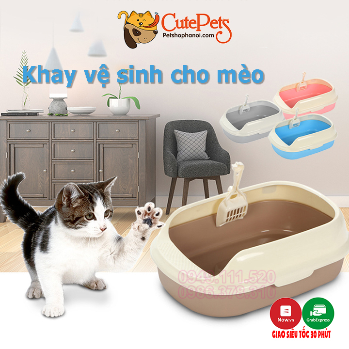 [HOÀN TIỀN 10%][Tặng xẻng] Khay đựng cát vệ sinh cho mèo hình trứng nhỏ - Cutepets