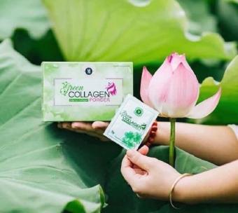 Diệp Lục Collagen (temp cào)