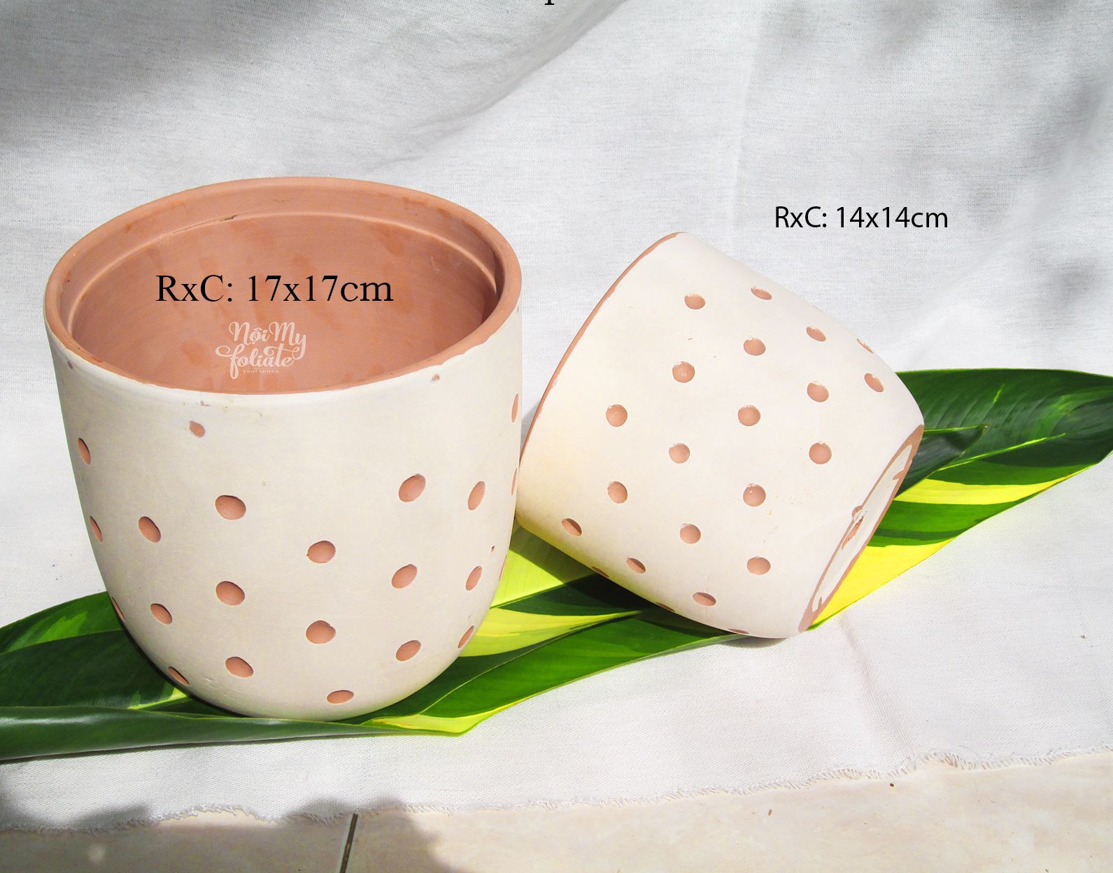 Chậu trồng cây đất nung hình trứng chấm bi/ kẻ sọc