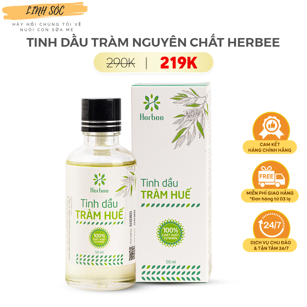 Tinh Dầu Tràm Huế Herbee Nguyên Chất