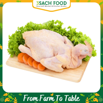 Gà ta Gò Công 1.1 - 1.3kg (con)