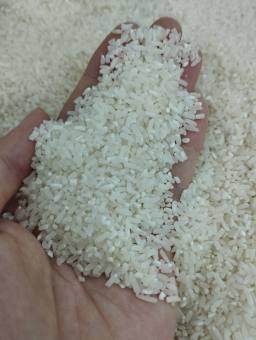 3KG Gạo Tấm ST25 - Gạo Tấm Thơm Dẻo Ngọt - Bena Organic