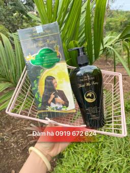 Dầu gội Thanh Mộc Hương tri nấm gàu và ngăn rụng tóc từ thảo mộc thiên nhiên