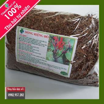 Cây dong riềng đỏ hỗ trợ điều trị bệnh mạch vành -1 KG Khô Sản Phẩm Của CTY Thảo Dược Số 1