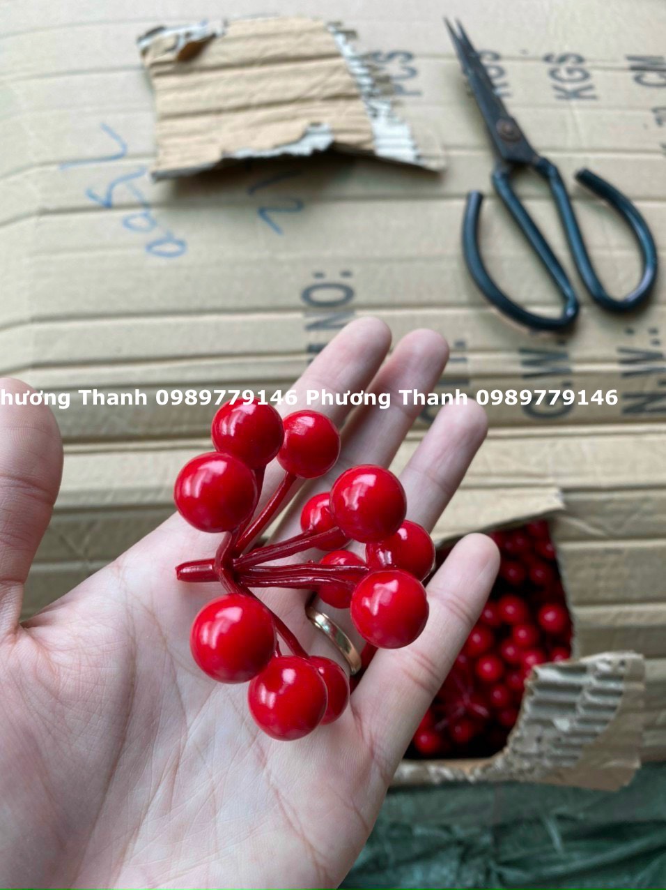 Đào đông đỏ, đào cherry, đào chùm