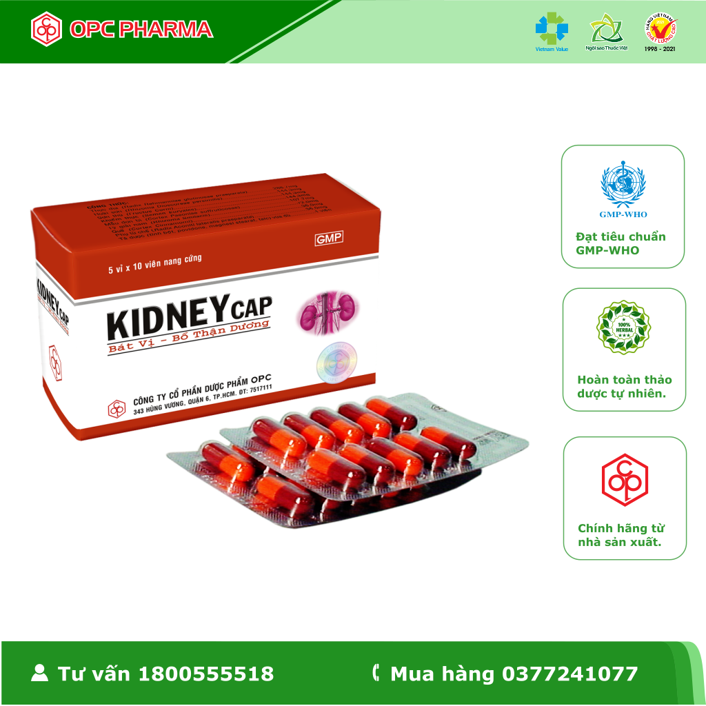 Bát vị Bổ Thận Dương KIDNEYCAP OPC -  Hàng chính hãng OPC