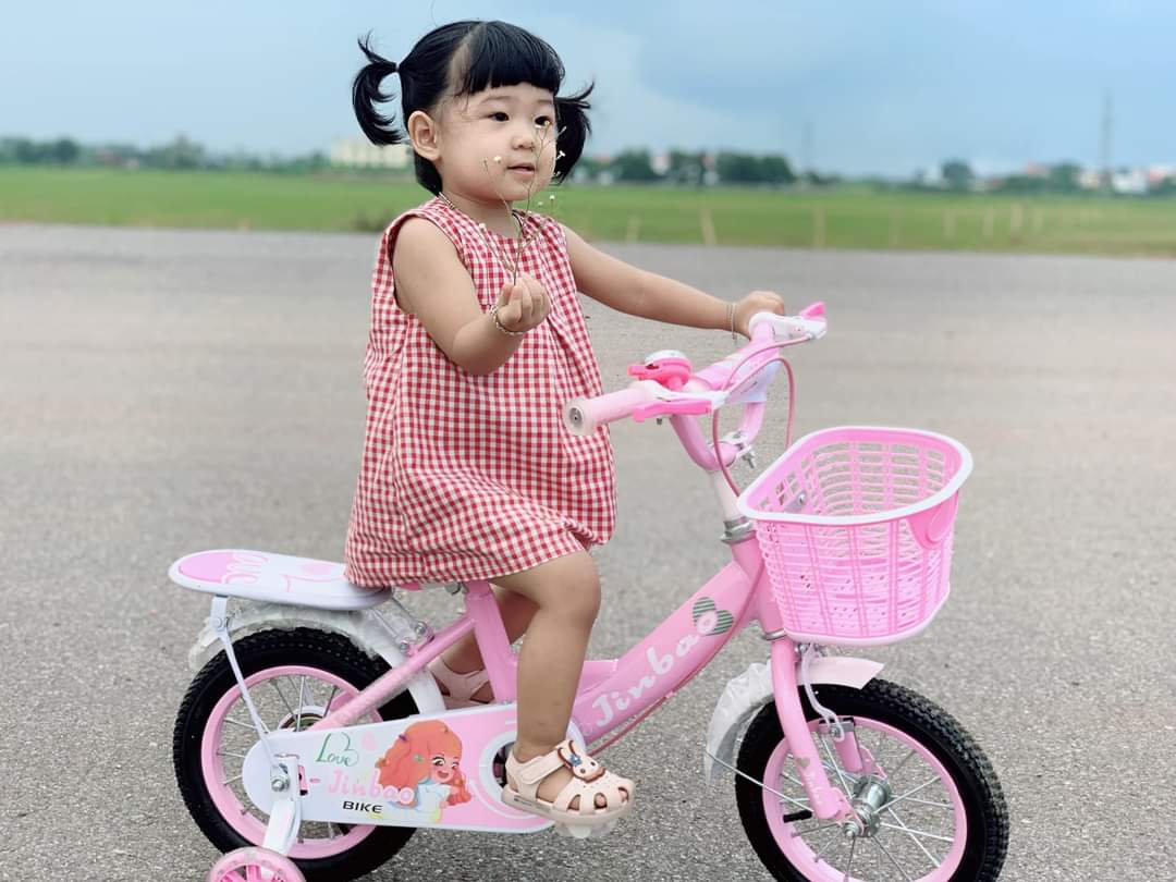 XE ĐẠP MÀU HỒNG, TÍM CHO BÉ GÁI 2-4 TUỔI SIZE 12 INCH.