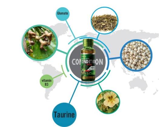 Nước giải rượu Hàn Quốc Condition - Lọ 75ml