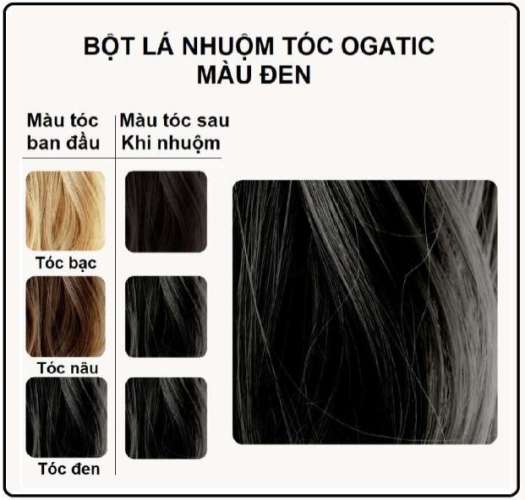 Nhuộm Tóc Thảo Dược Ogatic - Làm đen tóc tự nhiên tại nhà - Bột lá nhuộm tóc lá móng phủ bạc 50Gr