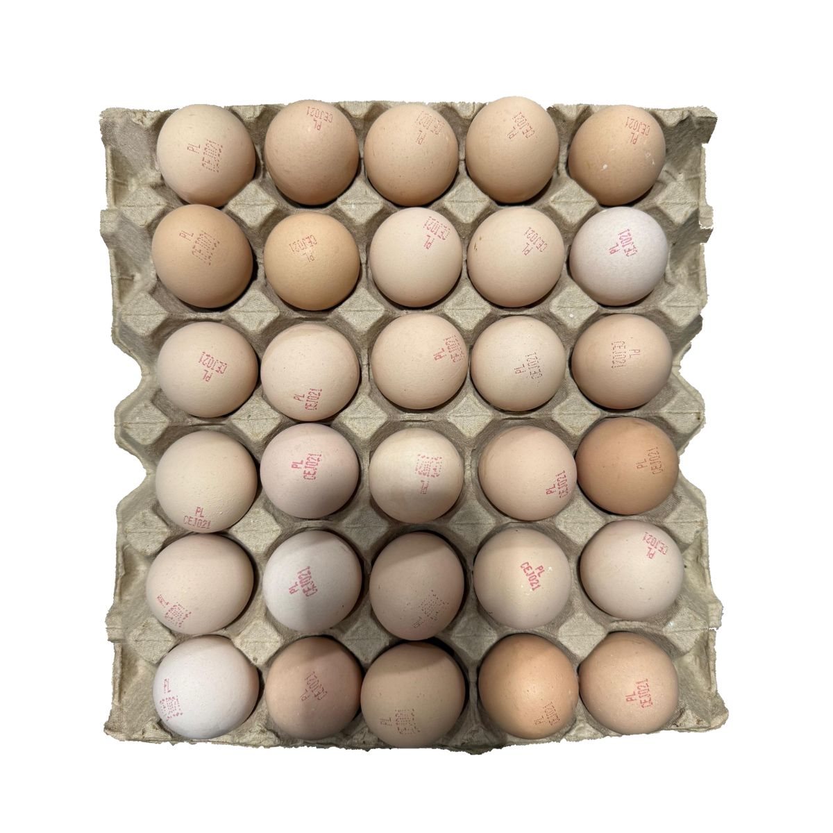 【D30213】EGG 30 Cells Medium Two-Piece Egg Holders – Custom Cup Factory