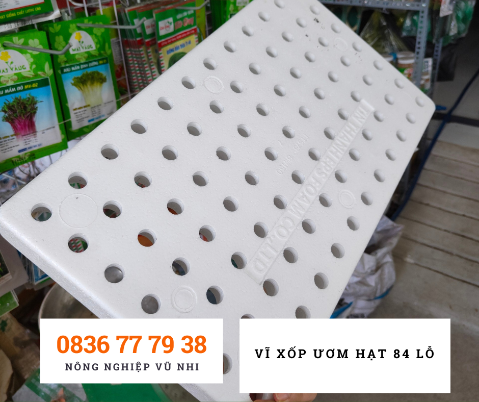 Vĩ xốp ươm hạt 84 - hatgiong24h