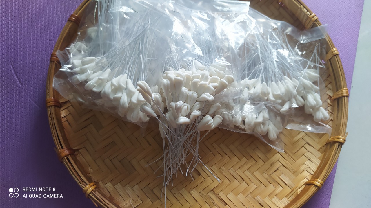 Nhuỵ địa lan,lan hồ điệp,lan hài,lan denro,lan vanda siêu rẻ 1 bó 50 nhuỵ