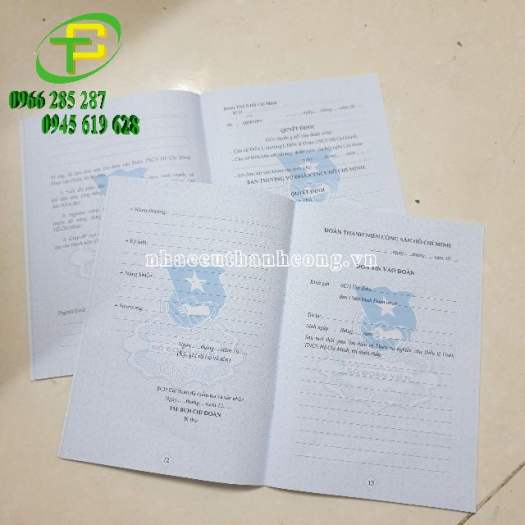 Sổ đoàn, sổ đoàn viên màu xanh