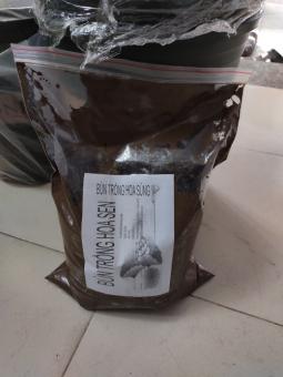 Bùn - Đất trồng sen mini- đất bùn trồng hoa súng thái - 5kg