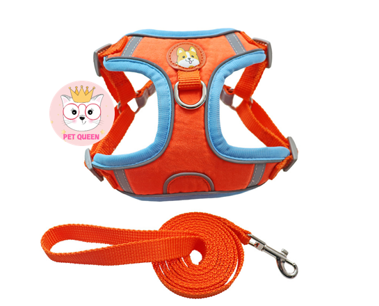 DÂY DẮT CHÓ MÈO KÈM YẾM CÓ DẠ QUANG CHO THÚ CƯNG NHỎ VÀ VỪA