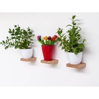 Kệ gỗ vuông giấu chân gắn tường trang trí Kệ treo tường bằng gỗ tự nhiên phong cách tối giản