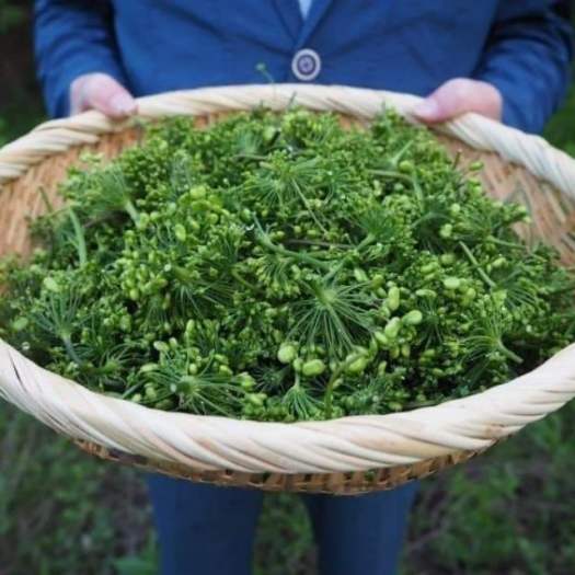 Trà hoa sâm hàn quốc gói 500gr