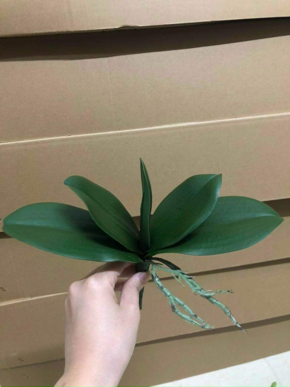 Cành hoa lan giả cao cấp dùng để cắm bình làm quà tặng, trang trí nội thất, decor shop, quán cafe