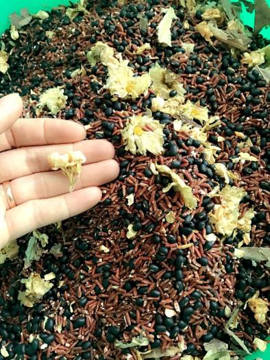 TRÀ GẠO LỨT ĐẬU ĐEN XANH LỒNG - NGÔ MÍCH