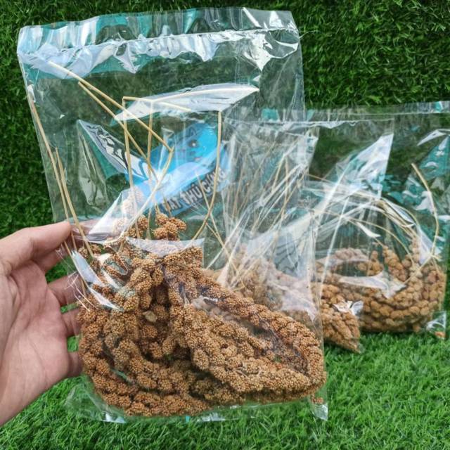 Hạt Kê Chùm dành cho hamster, sóc, chuột cảnh
