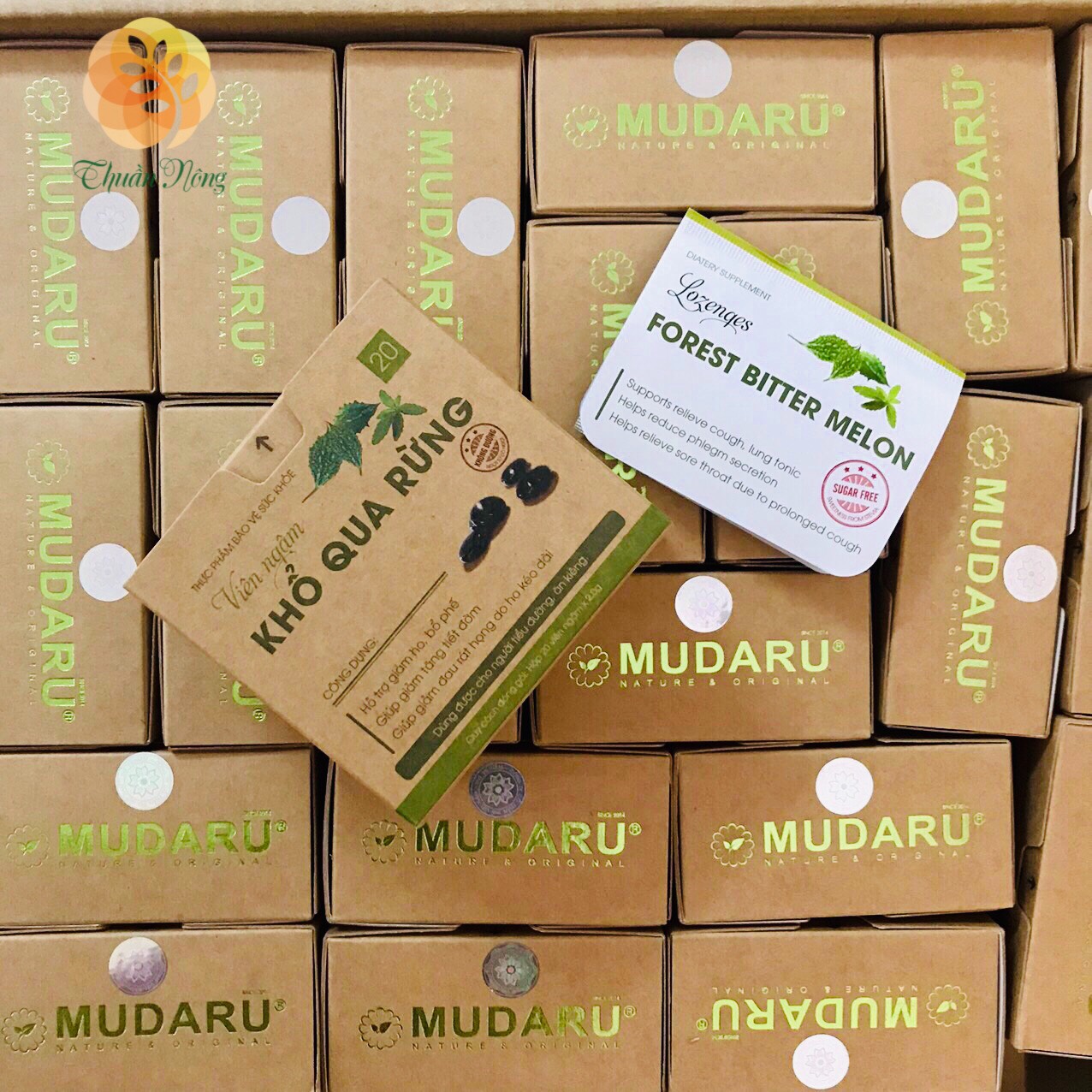 Viên ngậm khổ qua rừng - Giúp giảm đau rát họng/bổ phế/Giảm tiết dịch đờm - Thành phần thiên nhiên- Hộp 20 viên - Lozenges Forest Bitter melon - Help reduce phlegm secretion-Supports relieve cough, lung tonic- Thuần Nông HN