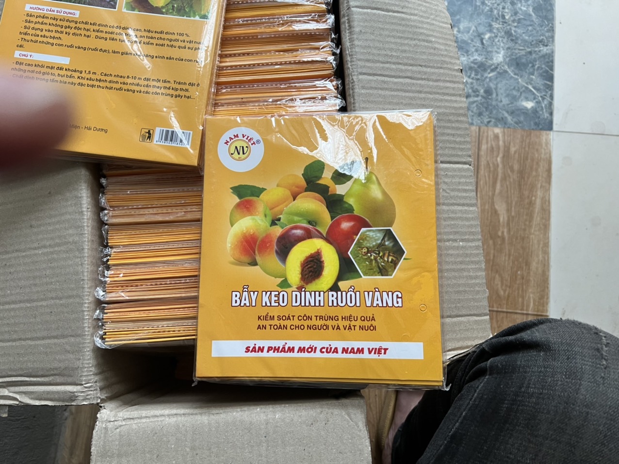 Combo 10 miếng dán bẫy ruồi vàng