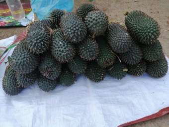 Dứa Rừng Khô Tây Bắc 1kg