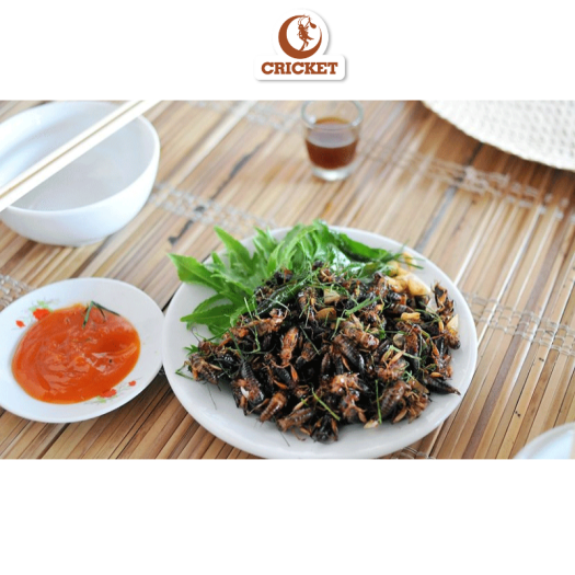 Dế Sữa Rang Muối Hoa Mặt Trời - Túi 60g Ăn vặt ngon và giàu dung dưỡng, Thực phẩm ngon cho bàn nhậu