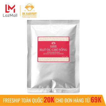 Nhân Hạt Óc Chó Sống DK Harvest Dùng làm Sữa 1000g, Óc chó nhập khẩu Mỹ, hạt óc chó tách vỏ, hạt nấu sữa