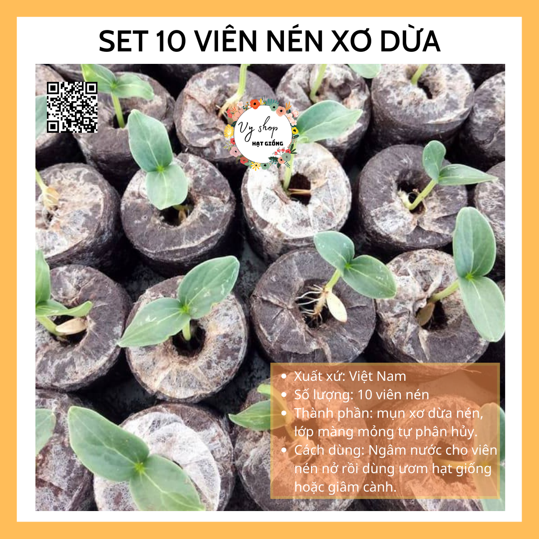 Set 10 viên nén xơ dừa ươm hạt giống