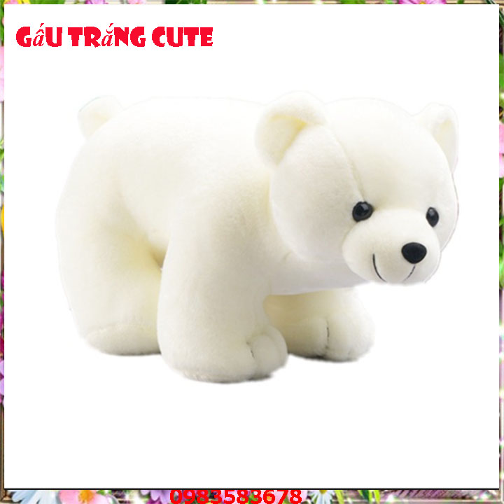 Gấu bông , thú nhồi bông - Gấu trắng bắc cực Đồ chơi sang trọng 25cm