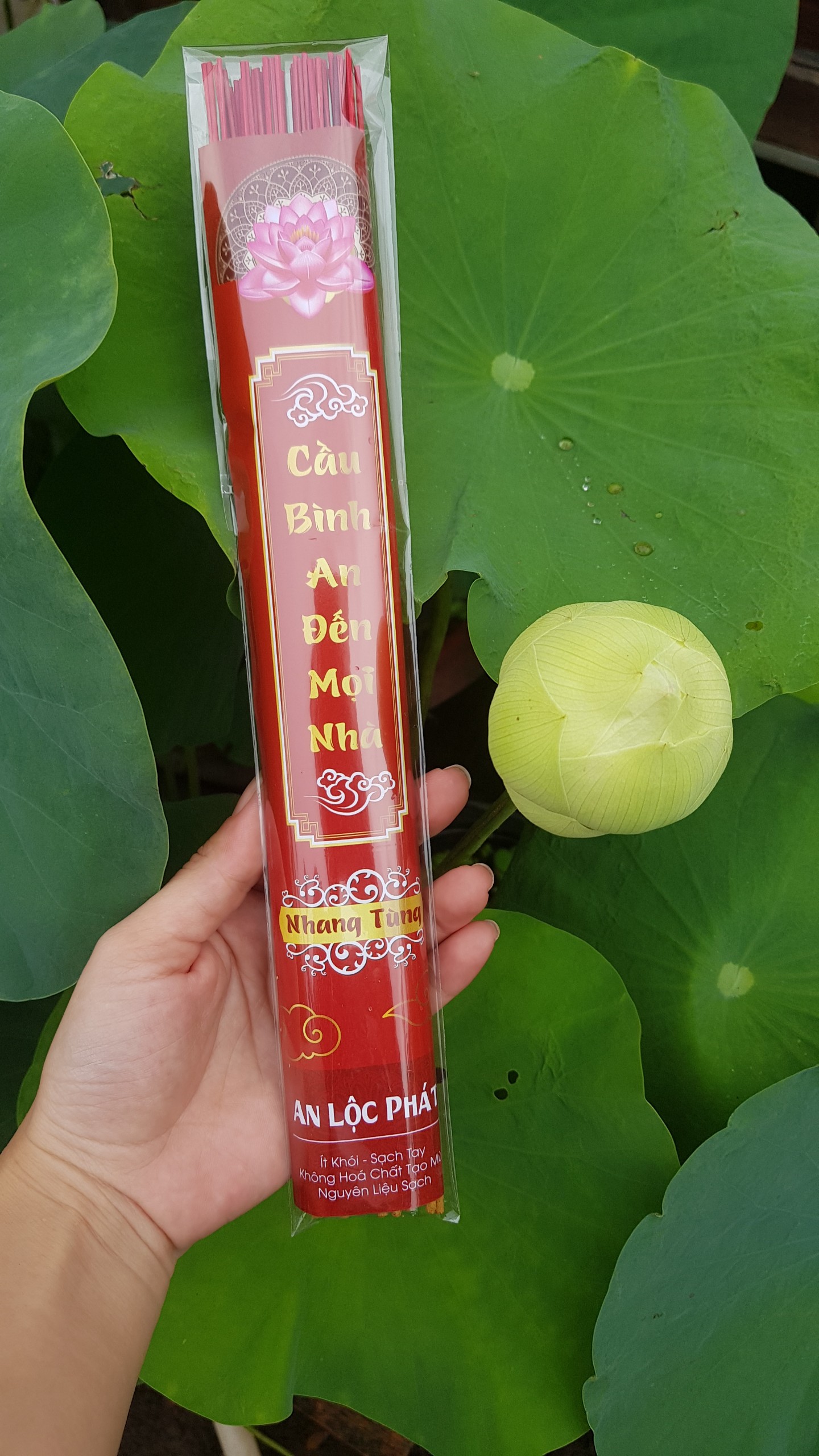 Nhang tuyết tùng, thơm nhẹ - tép 50 cây