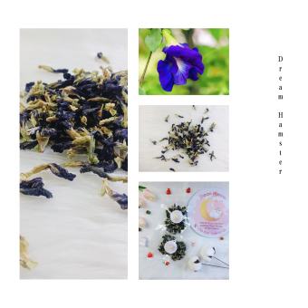 Hoa đậu biếc khô cho Hamster (20gr)