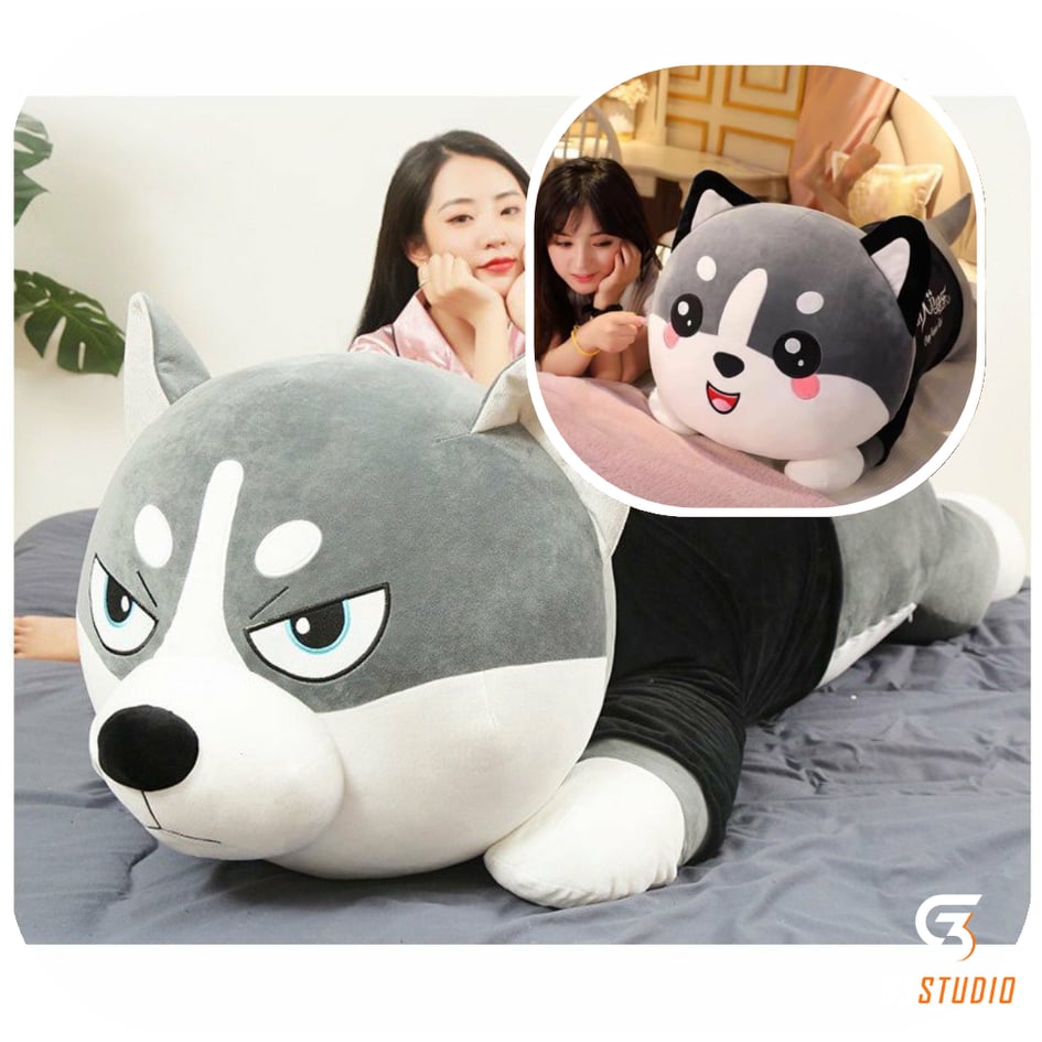 Gấu bông Chó bông husky , Mèo bông husky
