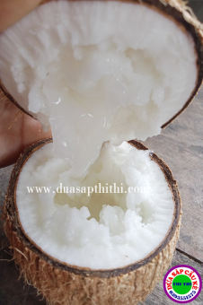 COMBO 2 DỪA SÁP BI ĐẶC (600gr-800gr)