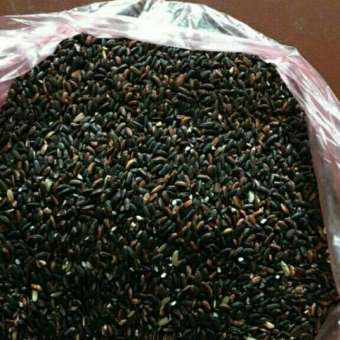 1kg gạo nếp cẩm quê