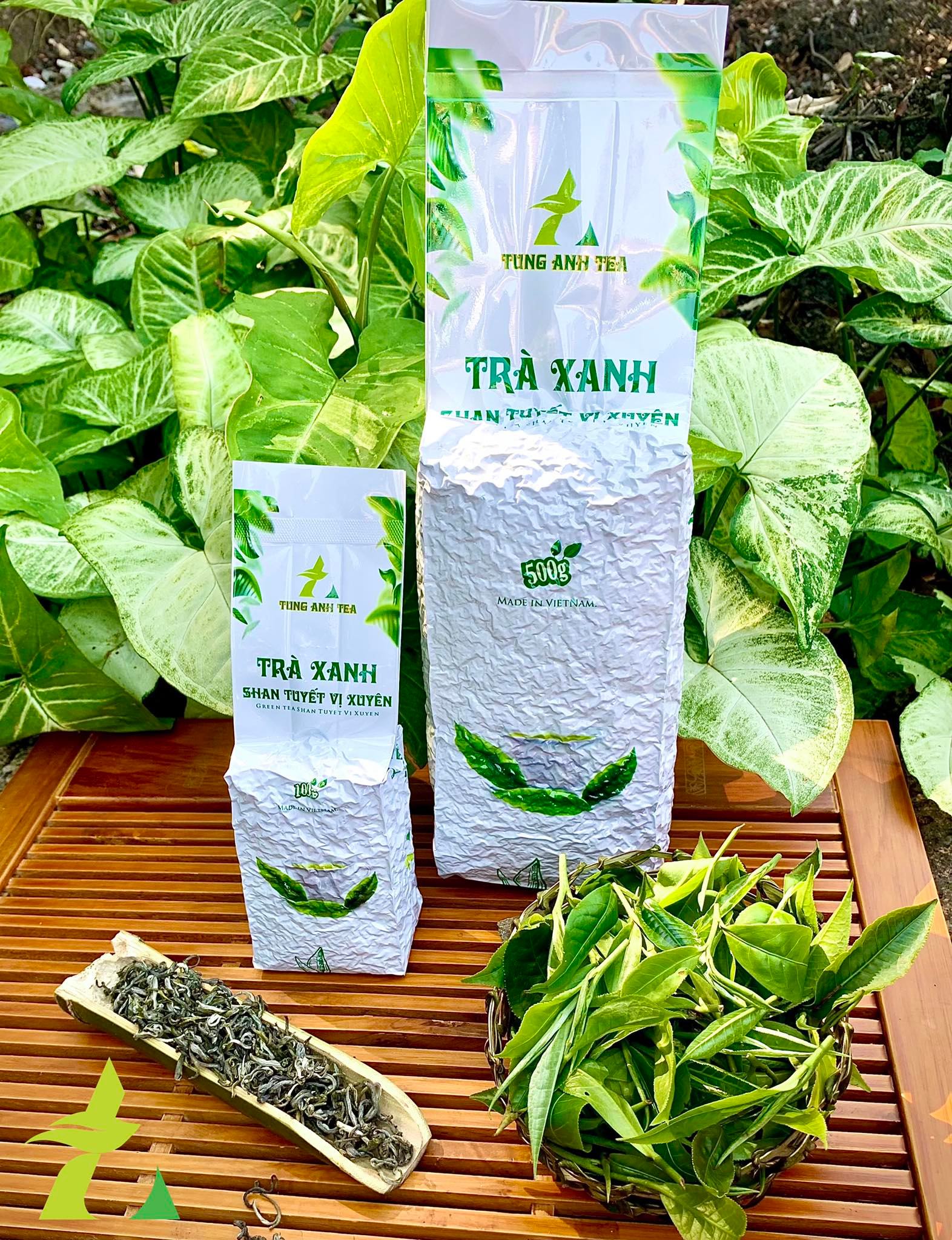 Trà shan tuyết xanh túi 500 gram