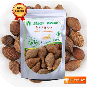 Hạt đười ươi 100g [thơm, sạch, mới], Đười ươi bay sẻ, Hạt lười ươi - tấn phát