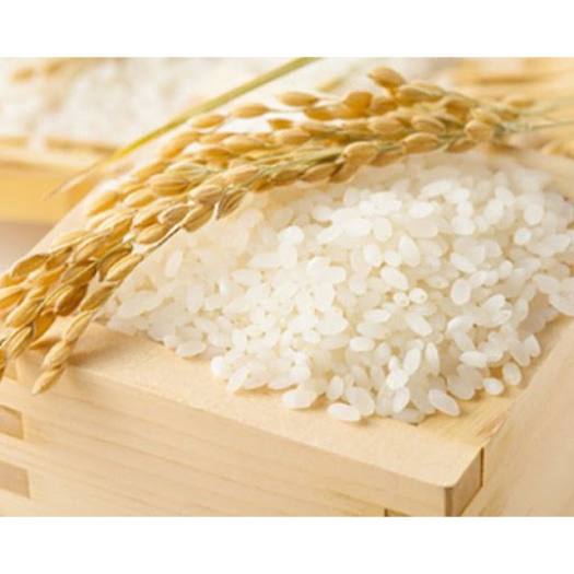 [1kg] Gạo Tấm Xốp -Nở Xốp Mềm Ngon Hảo Hạng - Nguyên Liệu Làm Cơm Tấm