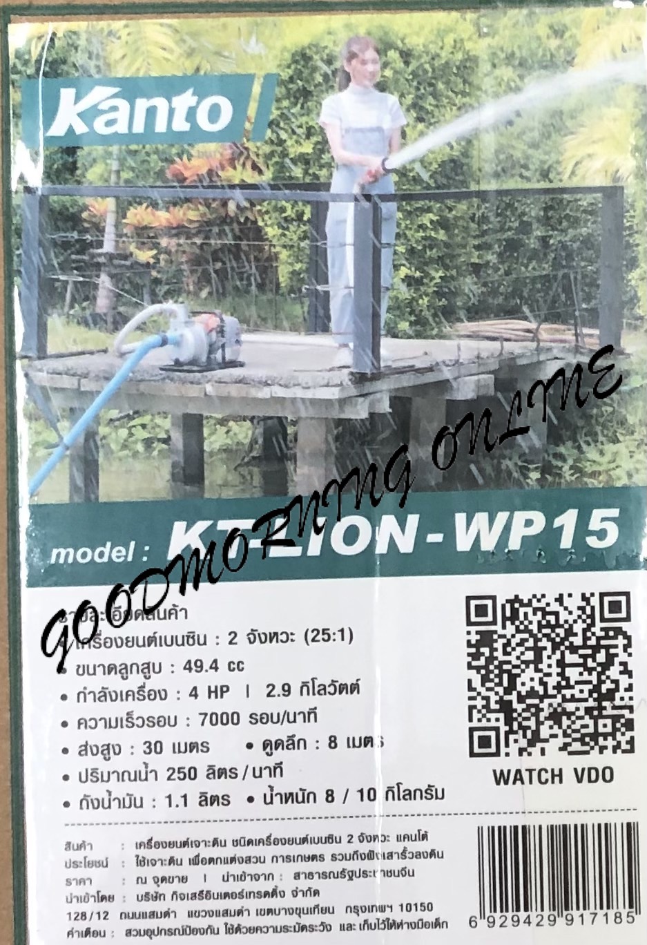 KT-LION-WP15-2