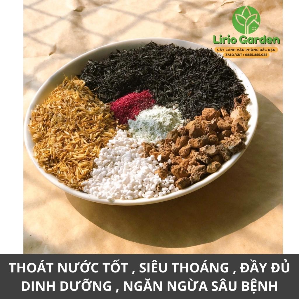 Đất trồng cây cảnh xương rồng , sen đá
