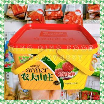 Ô Mai Thanh Mai Chua Ngọt 500g | Ăn Vặt Trái Cây - DING DING FOOD