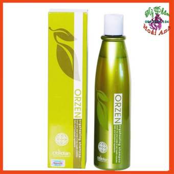 Dầu gội chống rụng tóc Obsidian Orzen Orgahealing Shampoo 320ml Korea