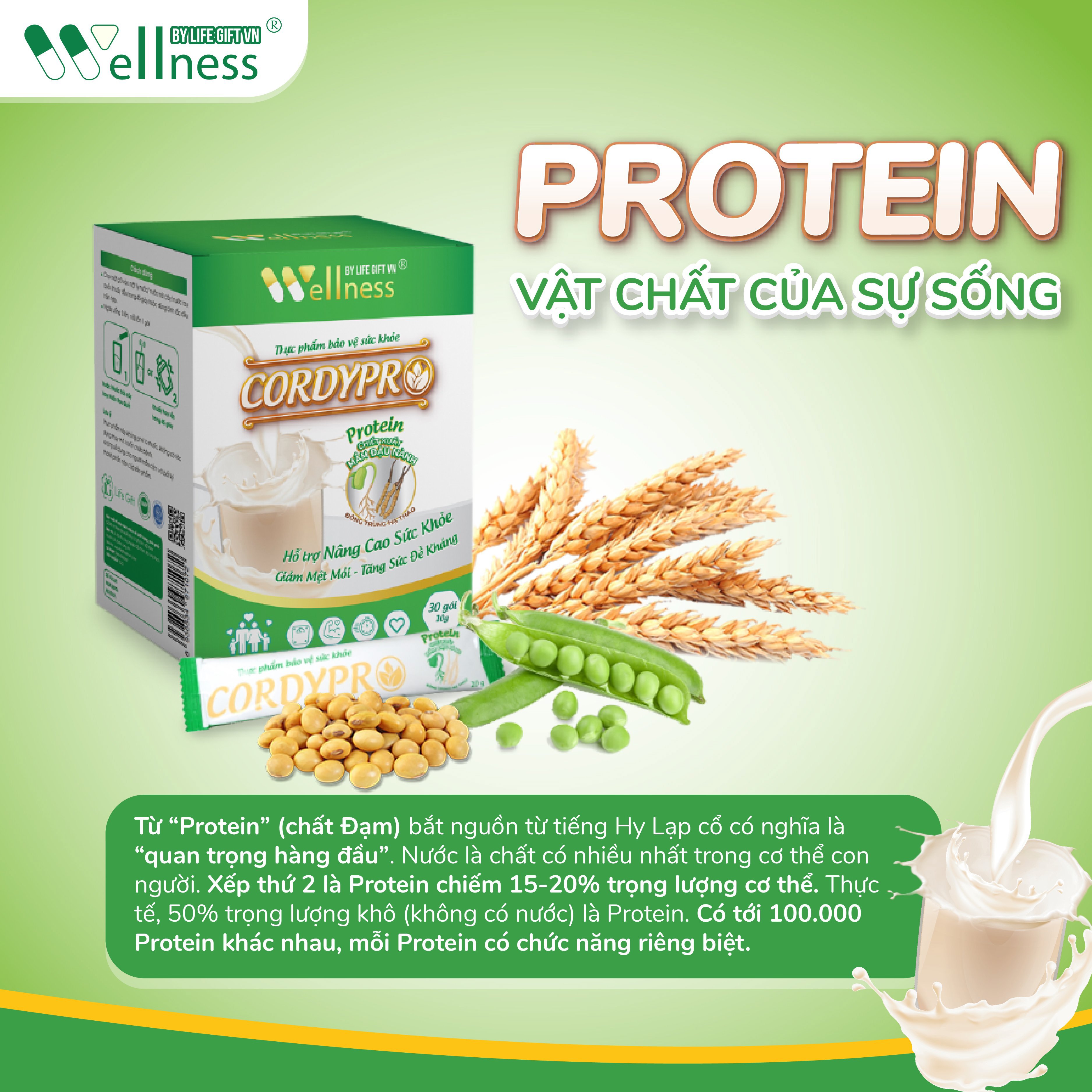 Thực phẩm protein thực vật Cordypro - Hộp 30 gói