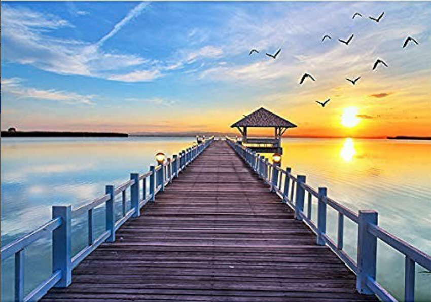 KHUNG 1.6 CM- Tranh sơn dầu số hóa rẻ,đẹp,TẶNG KHĂN,tranh tô màu theo số- ĐÃ CĂNG KHUNG 40x50,CÓ SƠN BÓNG-MÀU-CỌ-MÓCTREO