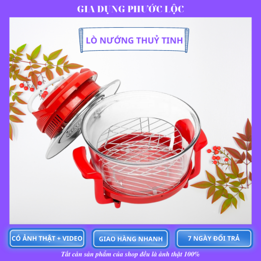 LÒ NƯỚNG ĐỐI LƯU SKYPE