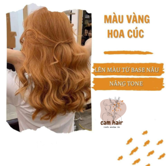 Thuốc Nhuộm Tóc Vàng Hoa Cúc Nhuộm Tại Nhà ( tặng oxi + găng tay+hdsd)